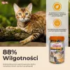 INABA Churu Varieties Chicken - skanėstai katėms - 50 x 14g