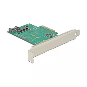 DeLOCK 89381 Vidinė PCIe M.2 SATA sąsajos kortelė