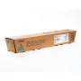 Ricoh 821262 originalus tonerio kasetė, ciano spalva, 1 vnt.