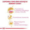 ROYAL CANIN Maine Coon Kitten – sausas ėdalas kačiukams – 4 kg