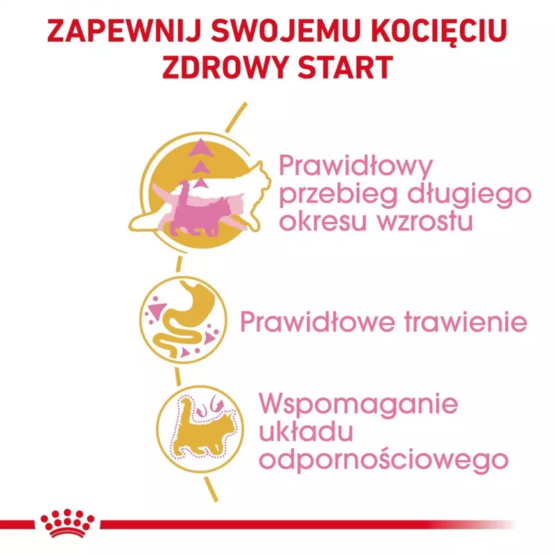 ROYAL CANIN Maine Coon Kitten – sausas ėdalas kačiukams – 4 kg