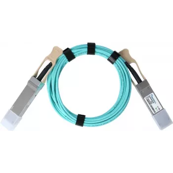 BlueOptics AA1404028-E6-BO InfiniBand kabelis 10 m QSFP oranžinis