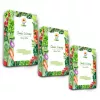 Toraf Seed Set - Rinkinys 4X3 2024 Toraf 36X1PCS