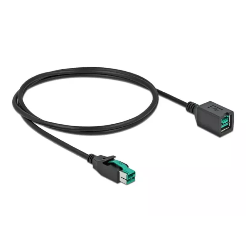 Maitinamas USB ilginimo kabelis DeLOCK 85980 12 V 1 m