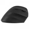 Ergonominė belaidė pelė dešinei rankai, Dual WL+BT, Yenkee YMS 5060P