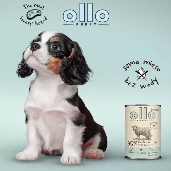 OLLO Puppy Umami jautiena su žaliuoju prieskrandžiu ir anties kepenėlėmis - šlapi šunų ėdalas - 850g