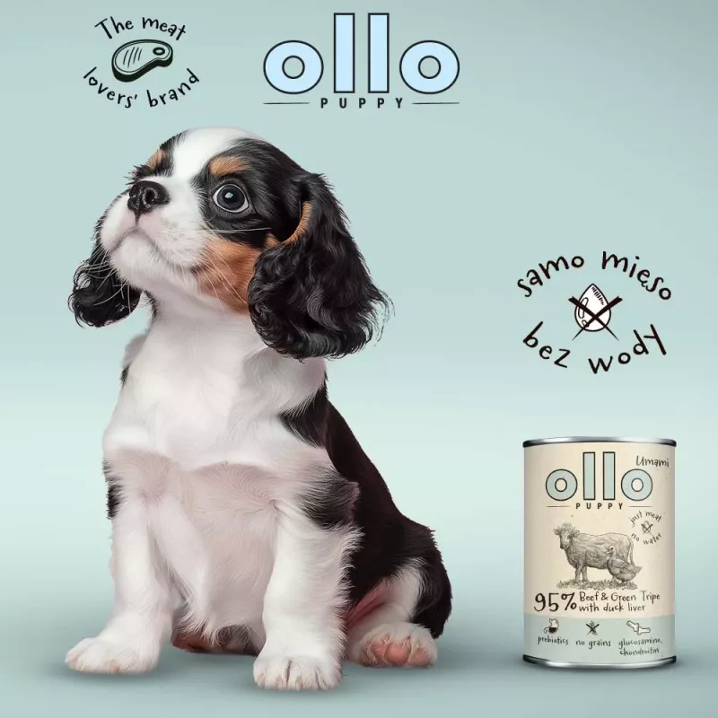 OLLO Puppy Umami jautiena su žaliuoju prieskrandžiu ir anties kepenėlėmis - šlapi šunų ėdalas - 850g