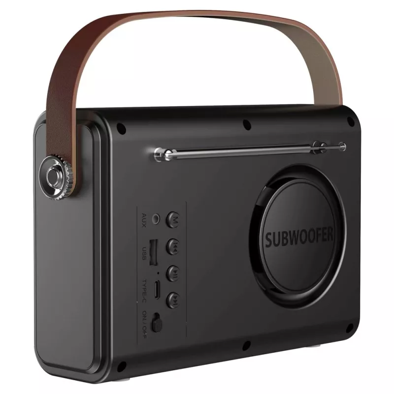 Nešiojamas radijo imtuvas Savio RS-01 Analog Black