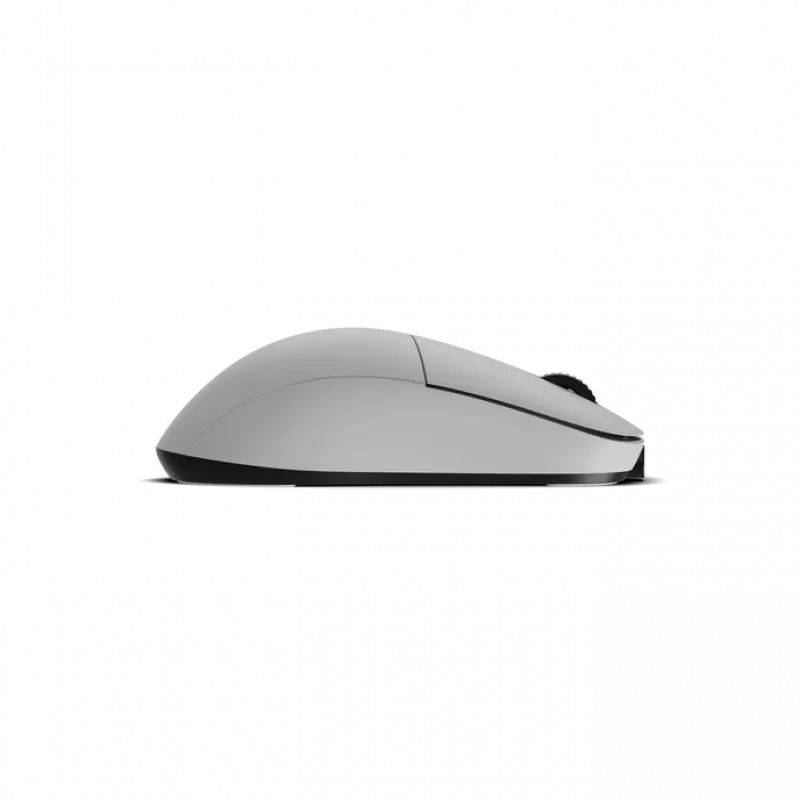 Pelytė Endgame Gear XM2w 4k Wireless