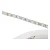 Synergy 21 LED Flex Strip 5050 - 60 RGB DC24V + RGB-W vienos lusto NW IP68