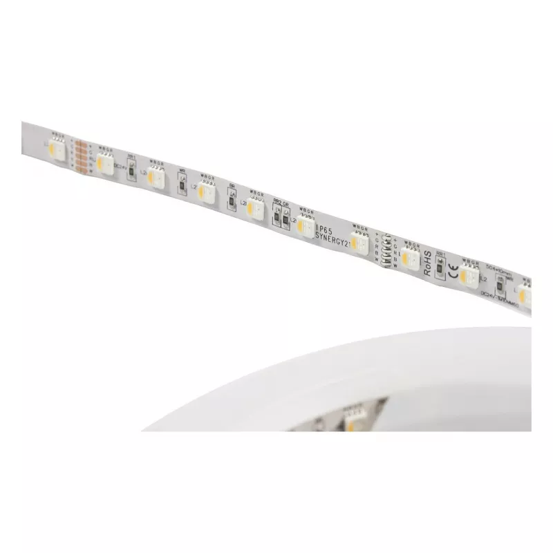 Synergy 21 LED Flex Strip 5050 - 60 RGB DC24V + RGB-W vienos lusto NW IP68