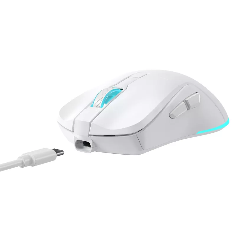 Pelė Baracuda Turtle BGM-122 balta TURTLE-W