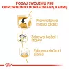 Royal Canin BHN Labrador Adult sausas ėdalas šunims, 12 kg