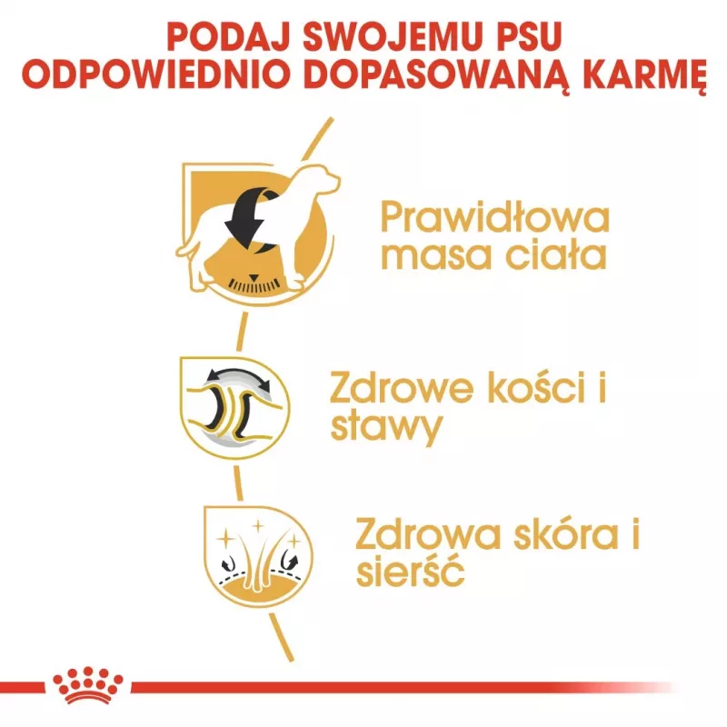 Royal Canin BHN Labrador Adult sausas ėdalas šunims, 12 kg