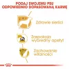 ROYAL CANIN BHN Yorkshire Terrier Adult sausas šunų ėdalas - 7,5 kg