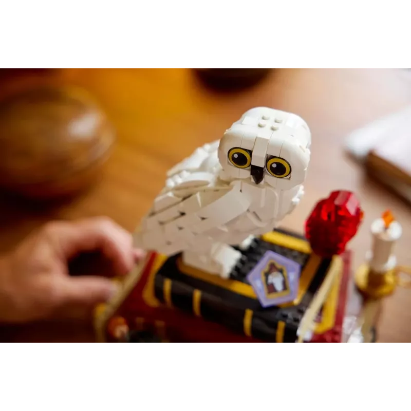 LEGO HARRY POTTER 76466 Išminties akmuo – Kolekcinis leidimas