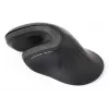 Gembird MUSW-ERGO-03 pelė Home Dešinei rankai RF Belaidė Optinė 1600 DPI