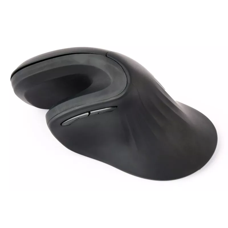 Gembird MUSW-ERGO-03 pelė Home Dešinei rankai RF Belaidė Optinė 1600 DPI