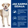 HILL'S PD D/D Food Sensitivities, antiena ir ryžiai - sausas šunų ėdalas - 4kg