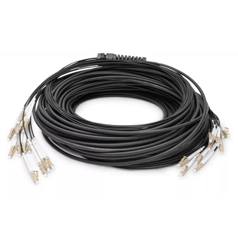 Breakout laidas Digitus DK-2433CU030BK-BBB 30m OM4 12 pluoštų LC/UPC