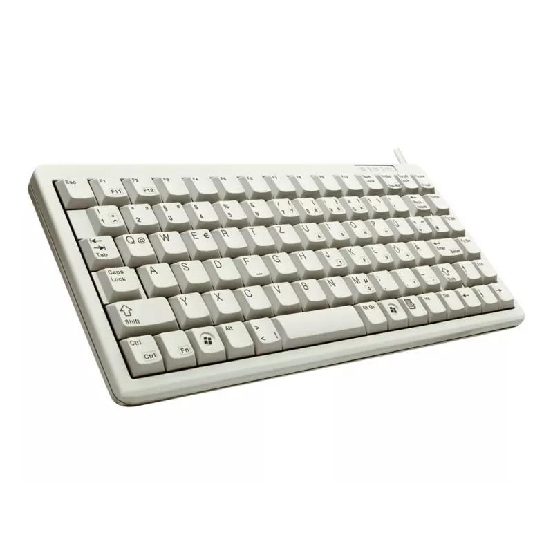 CHERRY G84-4100 klaviatūra universali USB QWERTZ vokiška pilka