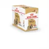 ROYAL CANIN Shih Tzu Suaugusiems Šlapias šunų maistas Pâté 12x85 g