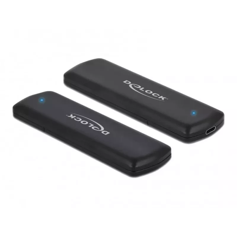 DeLOCK 42633 išorinis SSD dėklas M.2 NVMe/SATA USB Type-C
