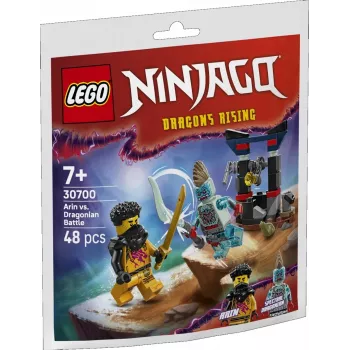 LEGO statybinis žaislas 30700 Arino kova su Drakonu Žmogumi polimaišelis (mini rinkinys)