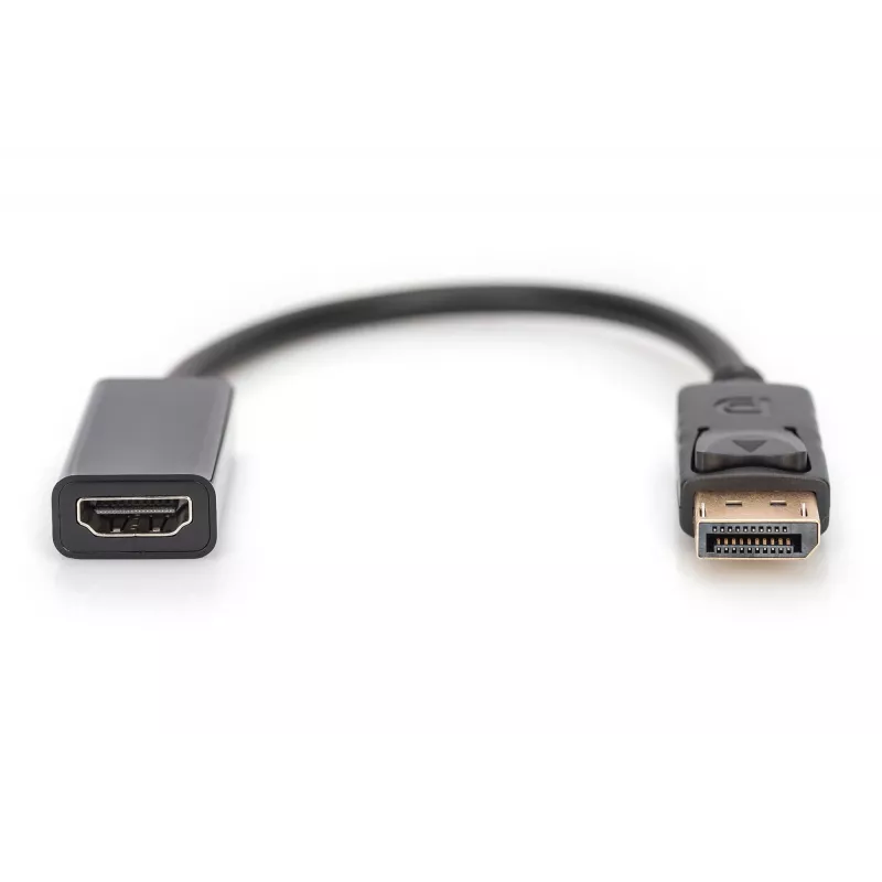Digitus DisplayPort adapteris / keitiklis