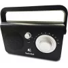 Porterinis radijas TECHNISAT CLASSIC 100 – analoginis FM, 1 W RMS, 3,5 mm, baltas