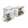 DeLOCK Keystone modulis RJ45 lizdas į LSA Cat.6A metalinis fiksatorius beįrankis 90° kampu ekranuotas