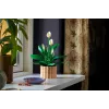 LEGO BOTANICALS 11504 Taikos lelija