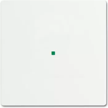 Busch-Jaeger 2CKA006220A0481 dengiamoji plokštelė jutiklio laikikliui ir lizdui balta