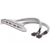 USB 2.0 lizdo laikiklio kabelis 2xIDC (5 kontaktų) / 4xUSB A (vyriškas/moteriškas) pilkas 0,25 m