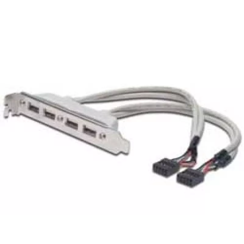 USB 2.0 lizdo laikiklio kabelis 2xIDC (5 kontaktų) / 4xUSB A (vyriškas/moteriškas) pilkas 0,25 m