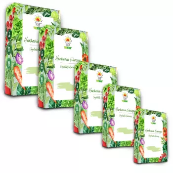 Toraf Seed Set - rinkinys 5x5 2024 Toraf 60x1 vnt