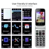 Sponge Artfone C10 Flip mobilusis telefonas 2,4 colio