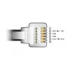 USB į RS-232 RJ12 adapterio laidas DeLOCK 66735, 2 m