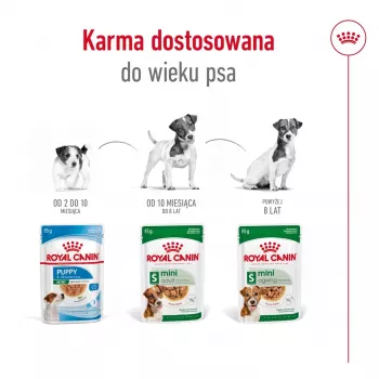 Šlapias šunų ėdalas Royal Canin Mini Ageing 12+ Adult 85 g – mažų veislių, paukštiena, senjorams