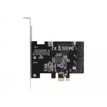Vidinė USB 3.2 Gen 1 adapterio kortelė DeLOCK 90387