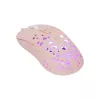 Pelė White Shark GM-9004 Tristan-2 Pink RGB USB