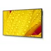 NEC MultiSync M651-2 Kiosk dizainas 165.1 cm (65 colių) LED 500 cd/m² 4K Ultra HD Juoda Įmontuotas procesorius