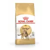 Sausas kačių ėdalas Royal Canin Bengal Adult 10 kg – Vištiena, 40 % baltymų, 18 % riebalų