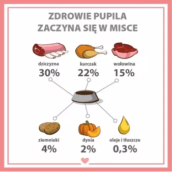 PUPIL Premium All Meat Venison - šlapias šunų ėdalas - 800g