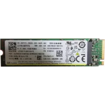 Vidinis SSD Dell 1TB PM9A1 (modelis: SSDR G44 80S3)