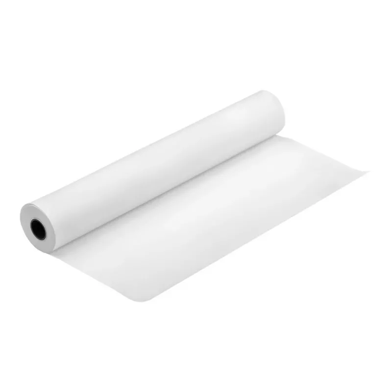 Epson Premium Semimatte nuotraukų popieriaus ritinys, 44 coliai x 30,5 m, 260 g/m²