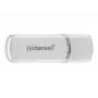 Intenso 128GB USB 3.1 Type-C atmintukas (OTG) 3538491