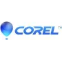 Corel PaintShop Pro 2023 – Dėžutės paketas – 1 vartotojas (Mini dėžutė) – Win – Daugiakalbė – Europa