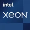 Intel Xeon E-2324G procesorius 3.1 GHz 8 MB Smart Cache Tray