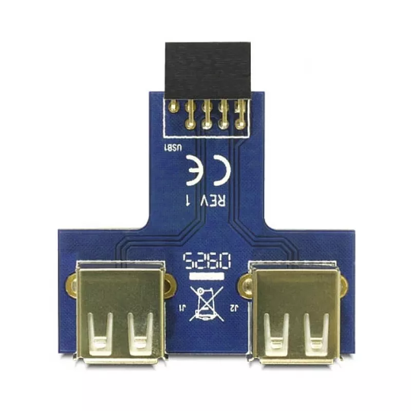 DeLOCK adapteris 9-pin 2.54 mm į 2 x USB 2.0 A, juoda/mėlyna/sidabrinė